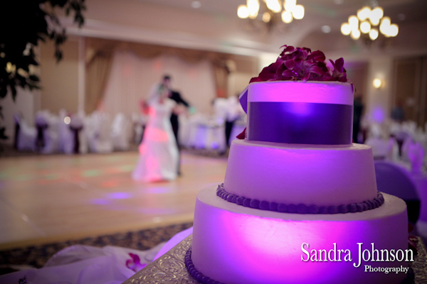 Best Rosen Centre wedding photographer - Sandra Johnson (SJFoto.com)